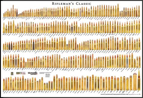 Cartridge Comparison Guide Cartridges Guns Bullet Guns