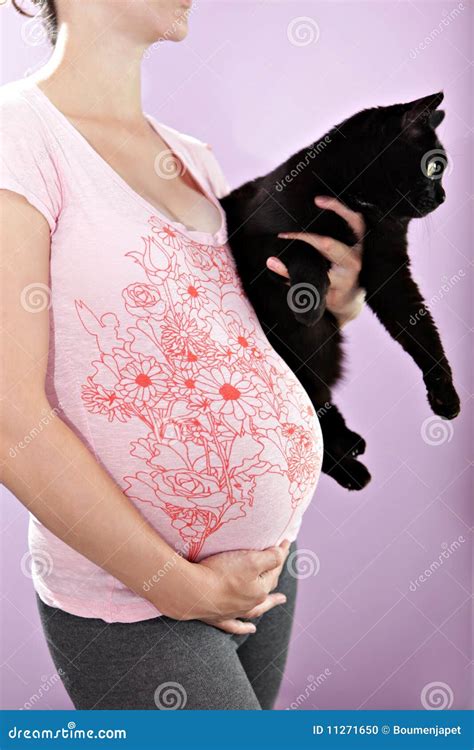 Pregnant Woman With Cat Stock Photo Image 11271650
