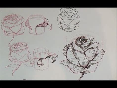 Drawing of paints and pencil. How to draw a rose - YouTube