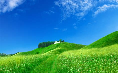 Wallpaper Dream Home On The Green Hillside 1920x1200 Hd Picture Image