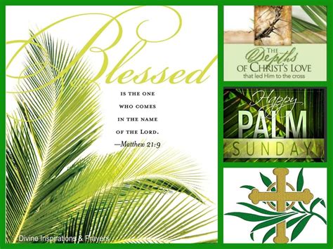 Palm Sunday Thoughts Poems Oppidan Library