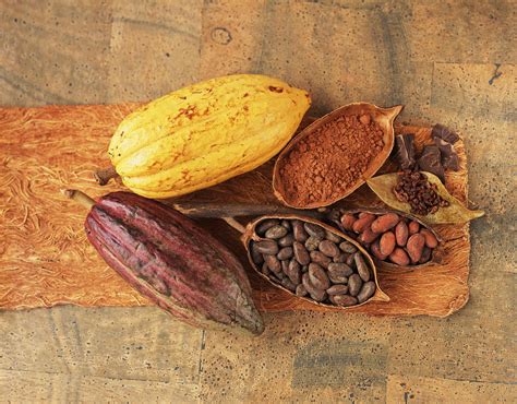 A Chocolate Pill Scientists To Test Whether Cocoa Extract Boosts