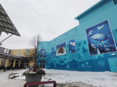 New Sea Life Michigan Aquarium Brings Sharks To Auburn Hills Mall