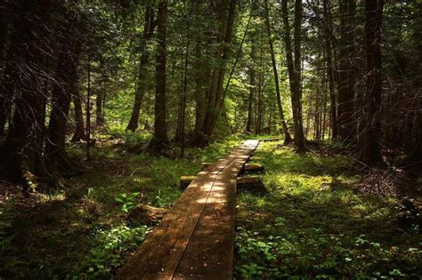 High Country Pathway Michigan