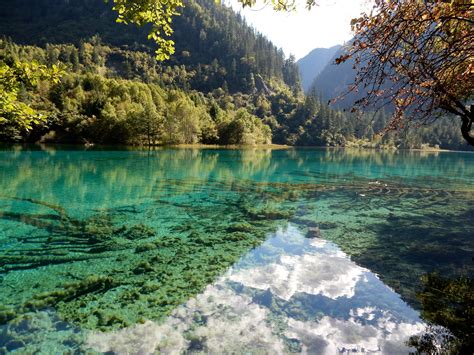 China Scenery Parks Lake Forests Jiuzhaigou National Park