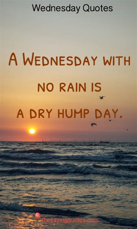 250 Wednesday Sayings And Quotes To Push Thought The Week The Saying