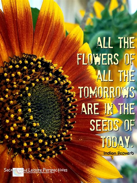 All The Flowers Of All The Tomorrows Are In The Seeds Of Today Indian