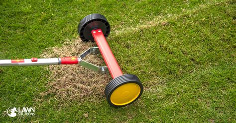 How To Dethatch Your Lawn Lawn Solutions Australia
