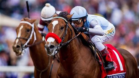 Americas Best Thoroughbreds For Nov 3 Americas Best Racing