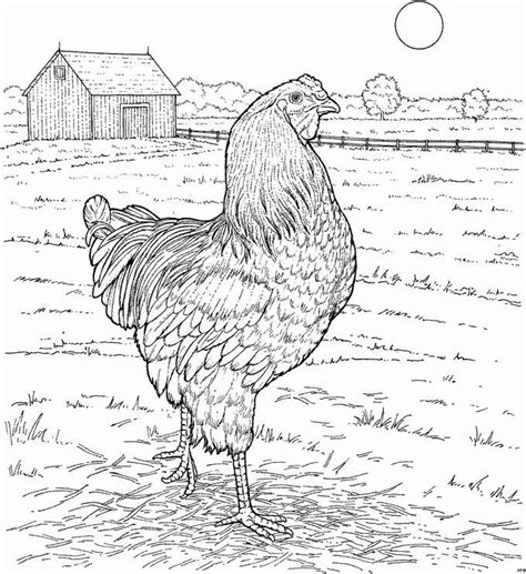 To print the coloring page: Coloring pages farm 12 | Farm coloring pages, Coloring ...