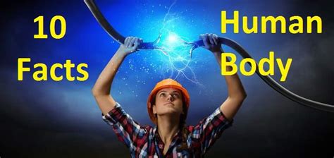 10 Facts About Electricity In Human Body Electrical4u