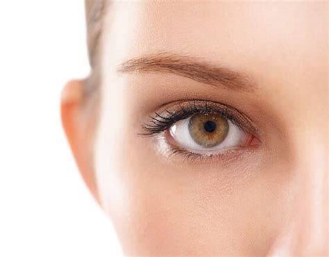 Chicago Ophthalmologist Eye Specialists Of Chicago And Highland Park