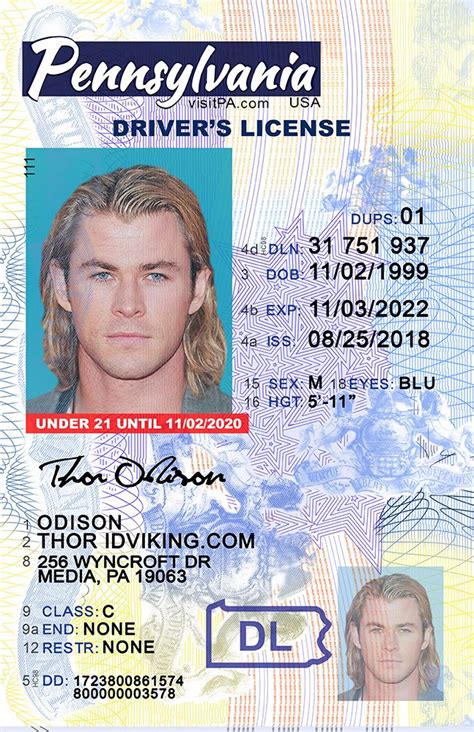 What is real id enhanced driver s license what you need to know to travel next year syracuse com. Pennsylvania NEW (PA) under 21 Drivers License - Scannable ...