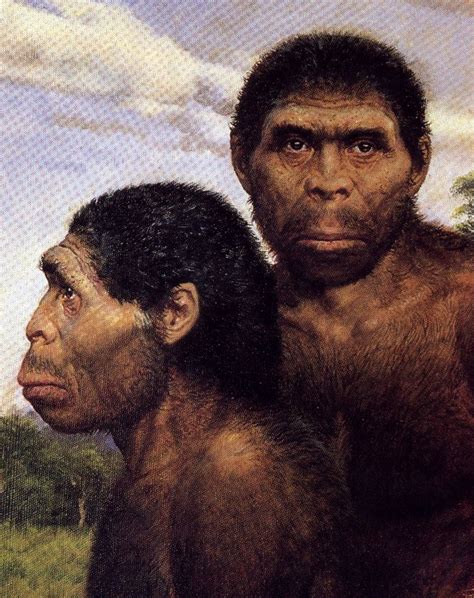 510 Best Neanderthal Images On Pinterest Human Evolution Early