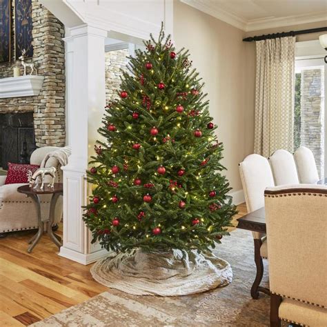 7 8 Ft Fraser Fir Real Christmas Tree At