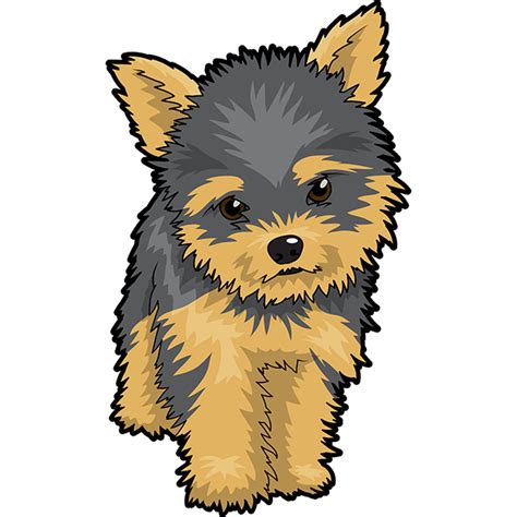 Yorkie Drawing Free Download On Clipartmag