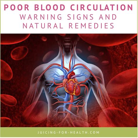 Poor Blood Circulation Warning Signs And How To Improve Blood Flow
