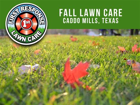 Lawn Care Caddo Mills Archives Millikens Irrigation And Lawn