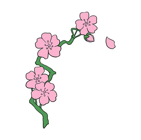 How To Draw Cherry Blossoms Really Easy Drawing Tutorial Drawing