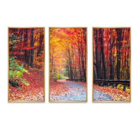 Millwood Pines Road In Beautiful Autumn Forest 3 Piece Floater Frame