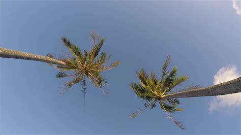Beautiful Time Lapse Guam Usa Base The Palm Trees Youtube