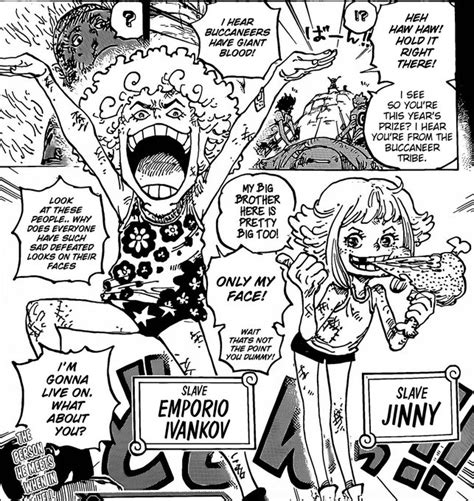 Who Is Ginny In ‘one Piece