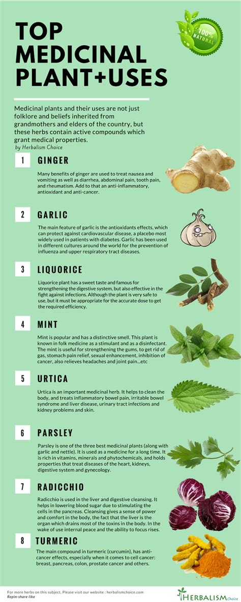 Top Medicinal Plants And Their Uses Herbs List Medicinal Plants