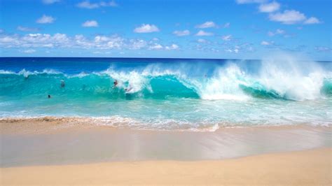 Fun On The Playful Ocean Waves Wallpaper Beach Wallpapers