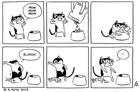 Cat Comics 33 Pics