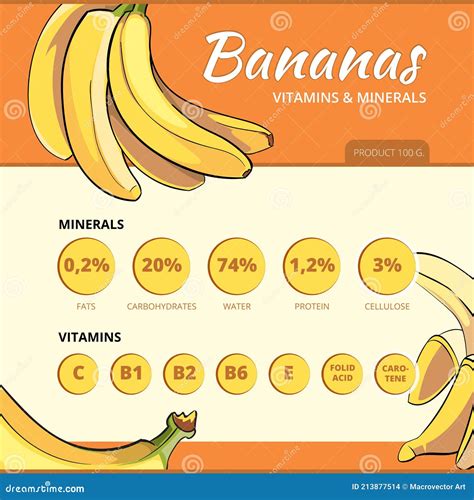 Banana And Vitamins Vector Infographics Stock Vector Illustration Of