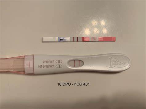 16 Dpo Frer And Make A Baby Brand Ultra Sensitive With Beta Hcg R