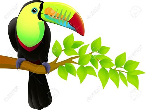 Jungle Parrot Clipart 20 Free Cliparts Download Images