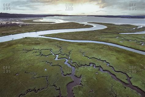 View Of The River Delta At Nisqually Wildlife Refuge At Low Tide Stock