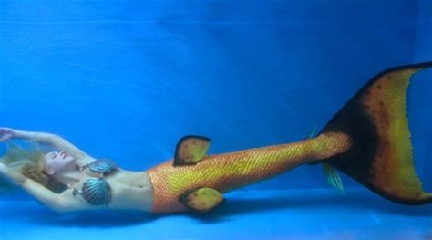 15 Photos Of A Real Life Mermaid You Have To See To Believe Real Life