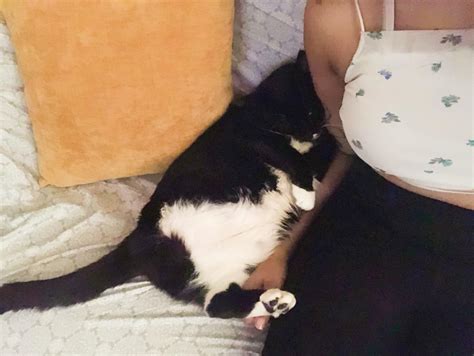 My ride just texted me outside but I replied not ready because look at