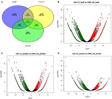 Frontiers Transcriptional Dynamics Of Maize Leaves Pollens And