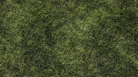 Artstation Pack Of 30 Grass Seamless Textures In 4k Resources