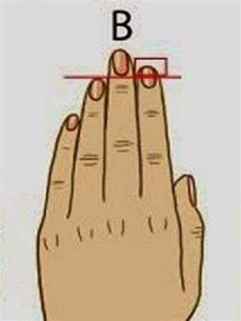 Heres What Your Finger Length Reveals About Your Personality Learn