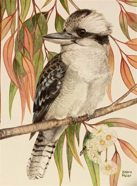 Kookaburra On Gumleaves Native Bird Print Australian Bird Watercolour
