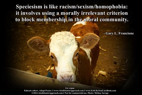 Speciesism Is Like Racismsexismhomophobia