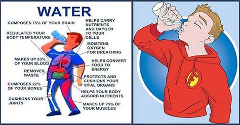 Encouraging Reasons Why You Should Drink Water After Waking Up Dr