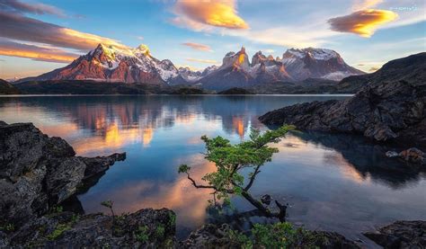 The torres del paine welcome centre is located in the eastern sector of torres del paine about 1.5km from the entrance to hotel las torres. Jezioro Pehoe, Góry Cordillera del Paine, Drzewo, Park ...