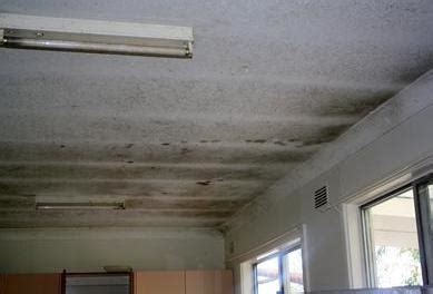 We did not find results for: Mold Types Found In Homes
