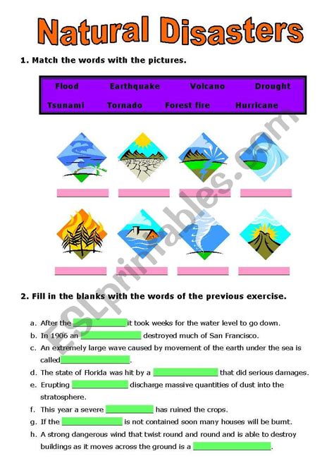 Natural Disaster Worksheet