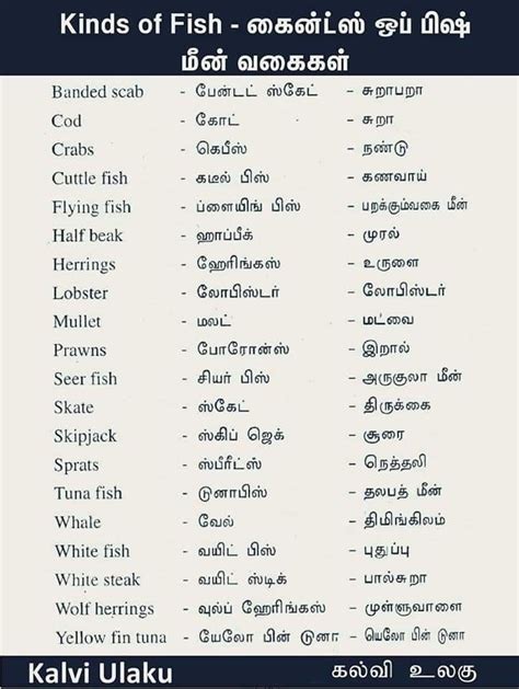 Pin By Azmie Zameek Ahamed On Learn English Through Tamil Language