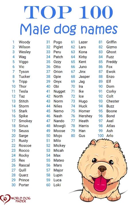 Boy Dog Names And How To Choose One