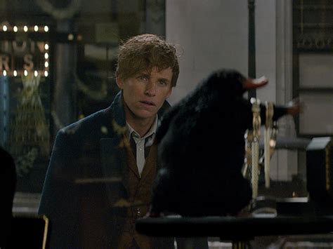 Fantastic Beasts Sequel Starts Filming News And Features Cinema Online