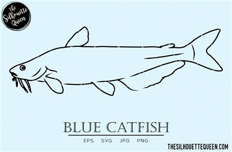 Blue Catfish Vector Cut Files Illustrator Graphics Creative Market