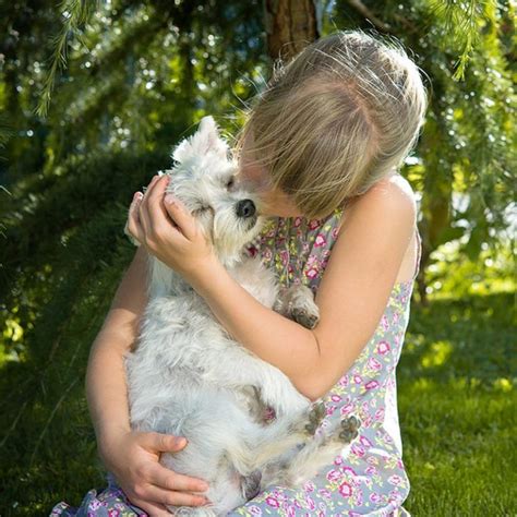 15 Most Affectionate Dog Breeds That Love To Snuggle