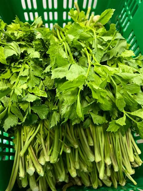 Buy Thai Celery Tong O From Sfm International Trading Co Ltd